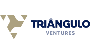 triangulo vb